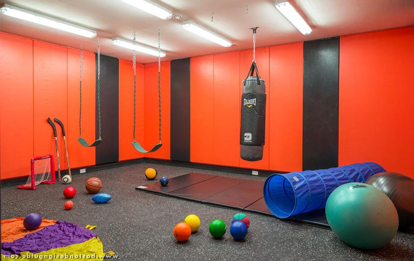 Padded Home Gym - Mellowes & Paladino Architects; brookes + hill Custom Builders; Richard Mandelkorn Photography